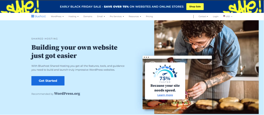 Bluehost--web hosting provider